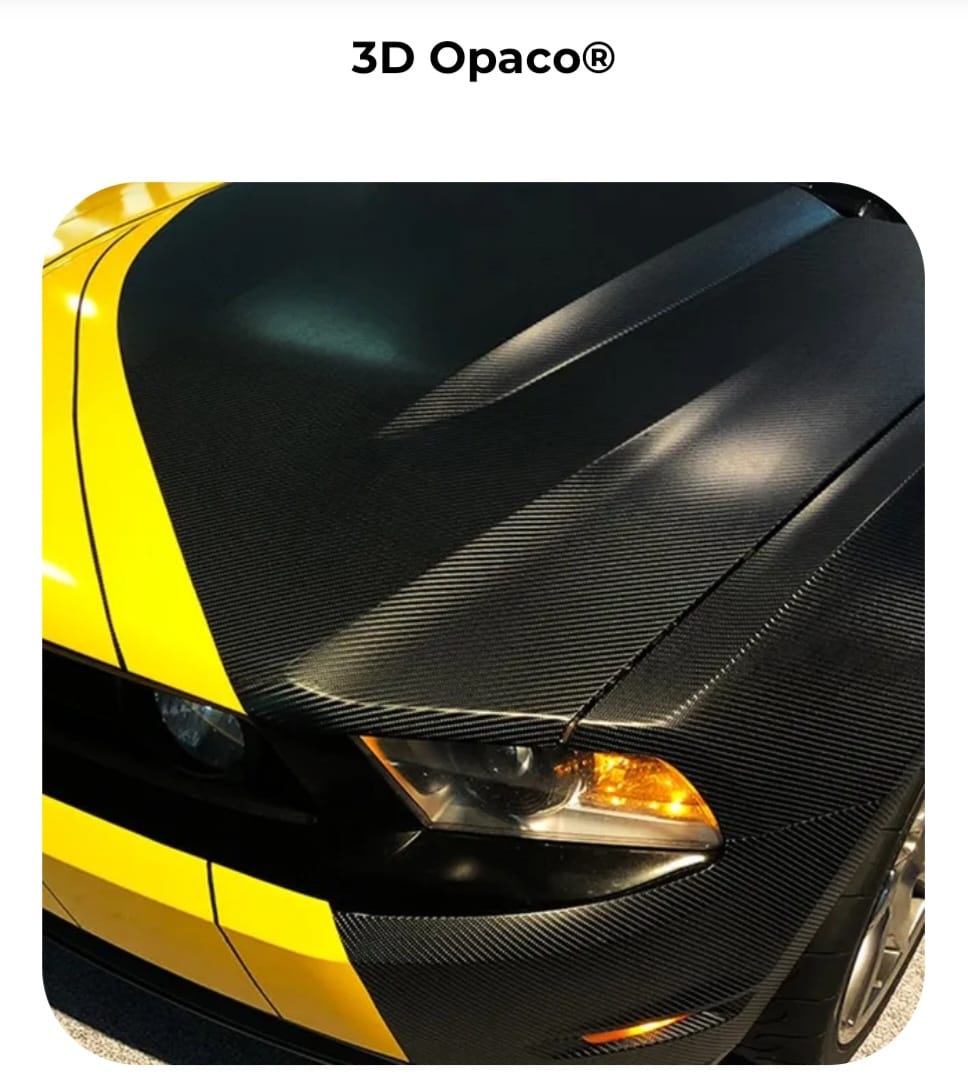 WhatsApp Image 2024-09-08 at 21.02.32.jpeg